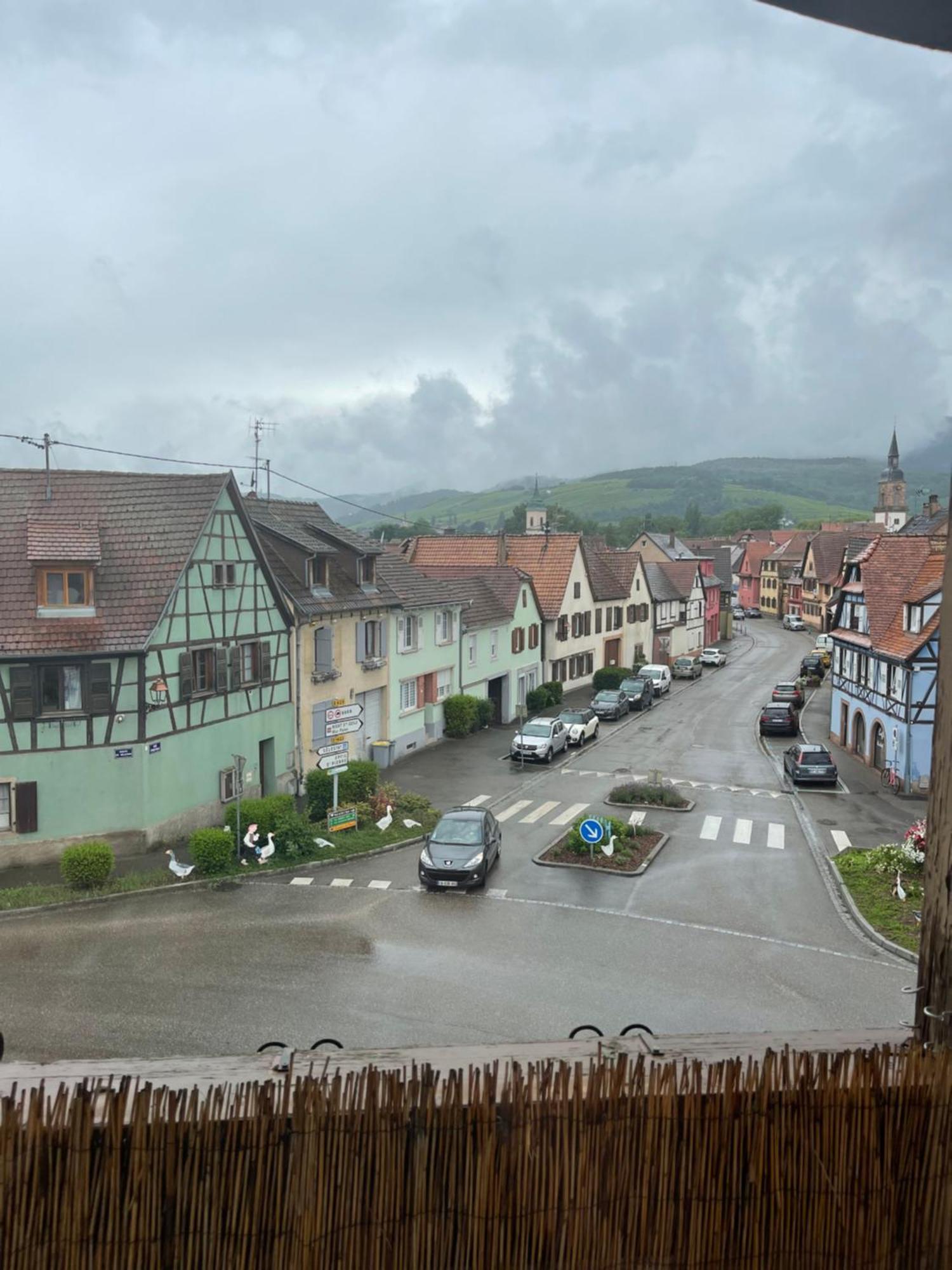 Appartement Centre Alsace Gertwiller Bagian luar foto
